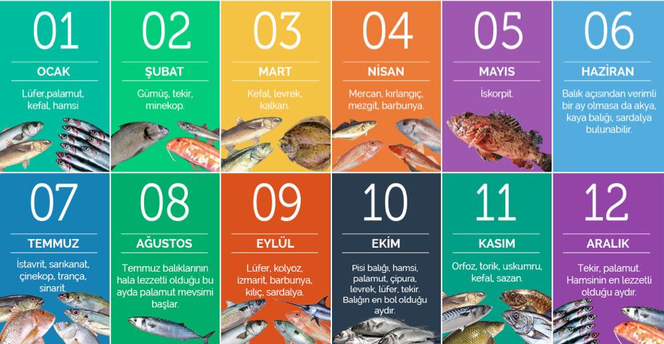 Hangi Balık Hangi Ayda Tüketilmeli?