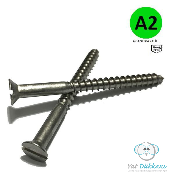 22*50 HB Ağaç Vidası Krom