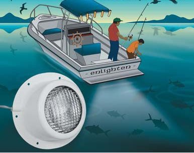 Kıç platform aydınlatma lambası 12V/35W